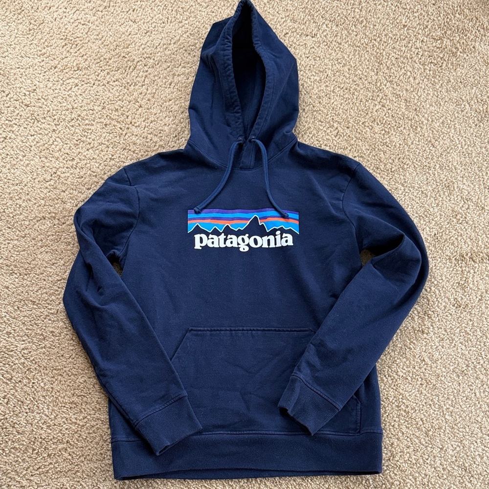 Patagonia Men's Blue Hoodie Sweater